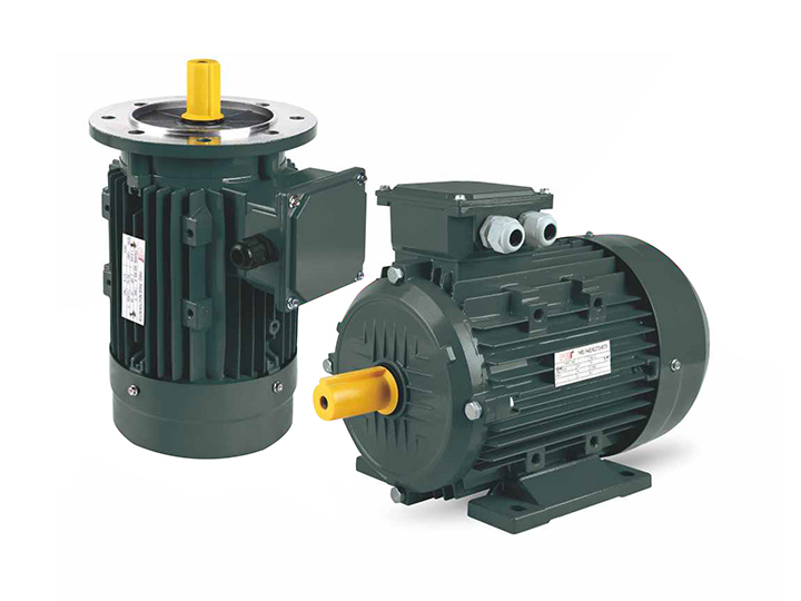 MS series three-phase asynchronous motors