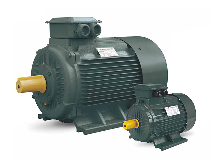 Y2 series three-phase induction motors